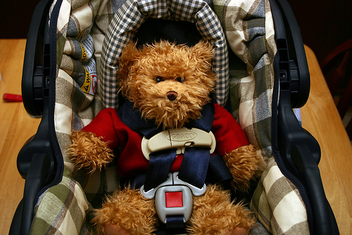 Teddy Bear Sitting and Buckled in a Infant / Baby Car Seat