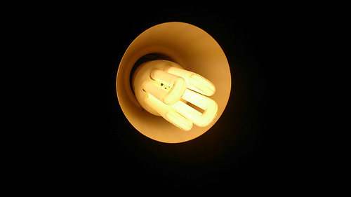 Luz