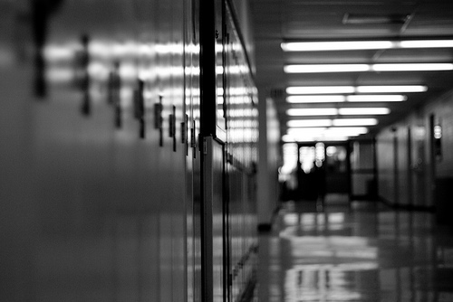 School Bokeh