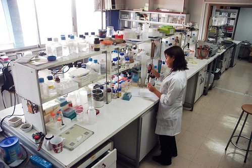 Laboratorio 13 Cs. Químicas