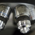 Nanopartículas para combatir enfermedades infecciosas