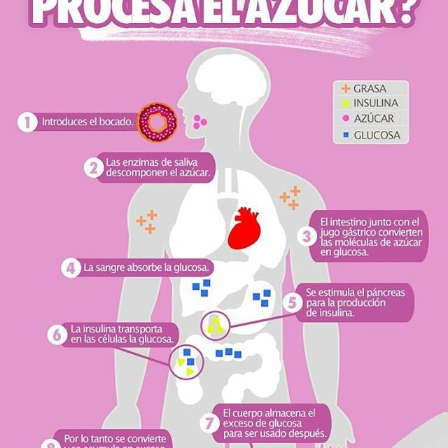 As procesa tu cuerpo el azcar LaSaludEsMas salud