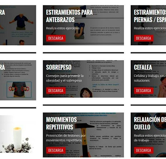 Actualizamos nuestras fichas de promocin de la salud Descarga yhellip