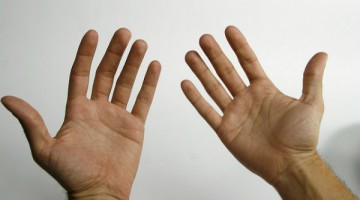 hands