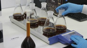 lab-1338722_640